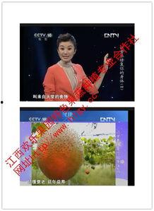 吃瓜天堂真心话,揭秘娱乐圈背后的故事